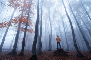 Choose Yourself: A Reflection on Life and the Choices We Make